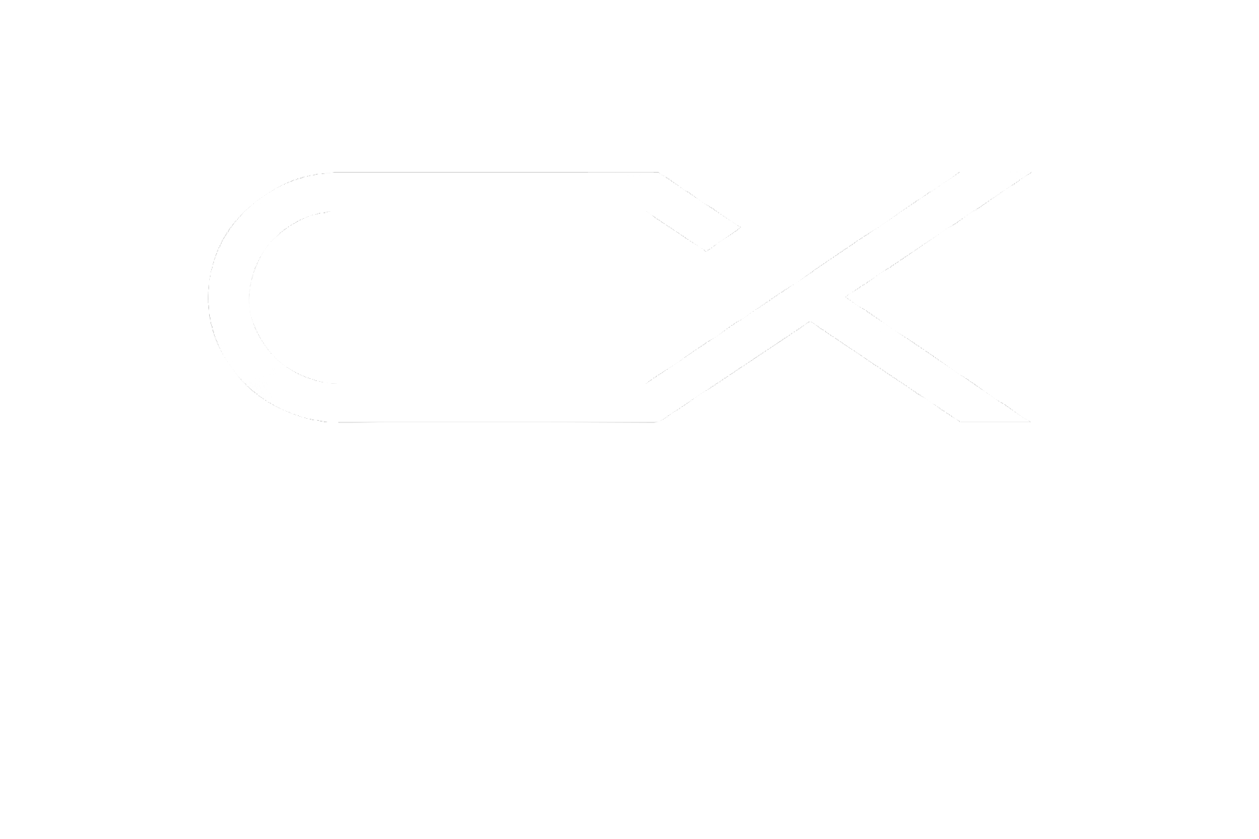 logo, cronos-x, business, software company